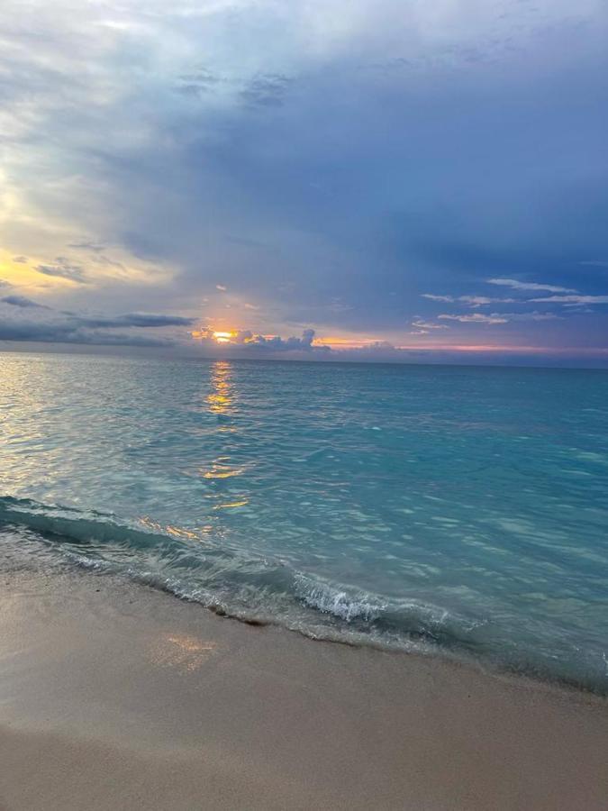 فندق Playa Surf Isla Barú المظهر الخارجي الصورة